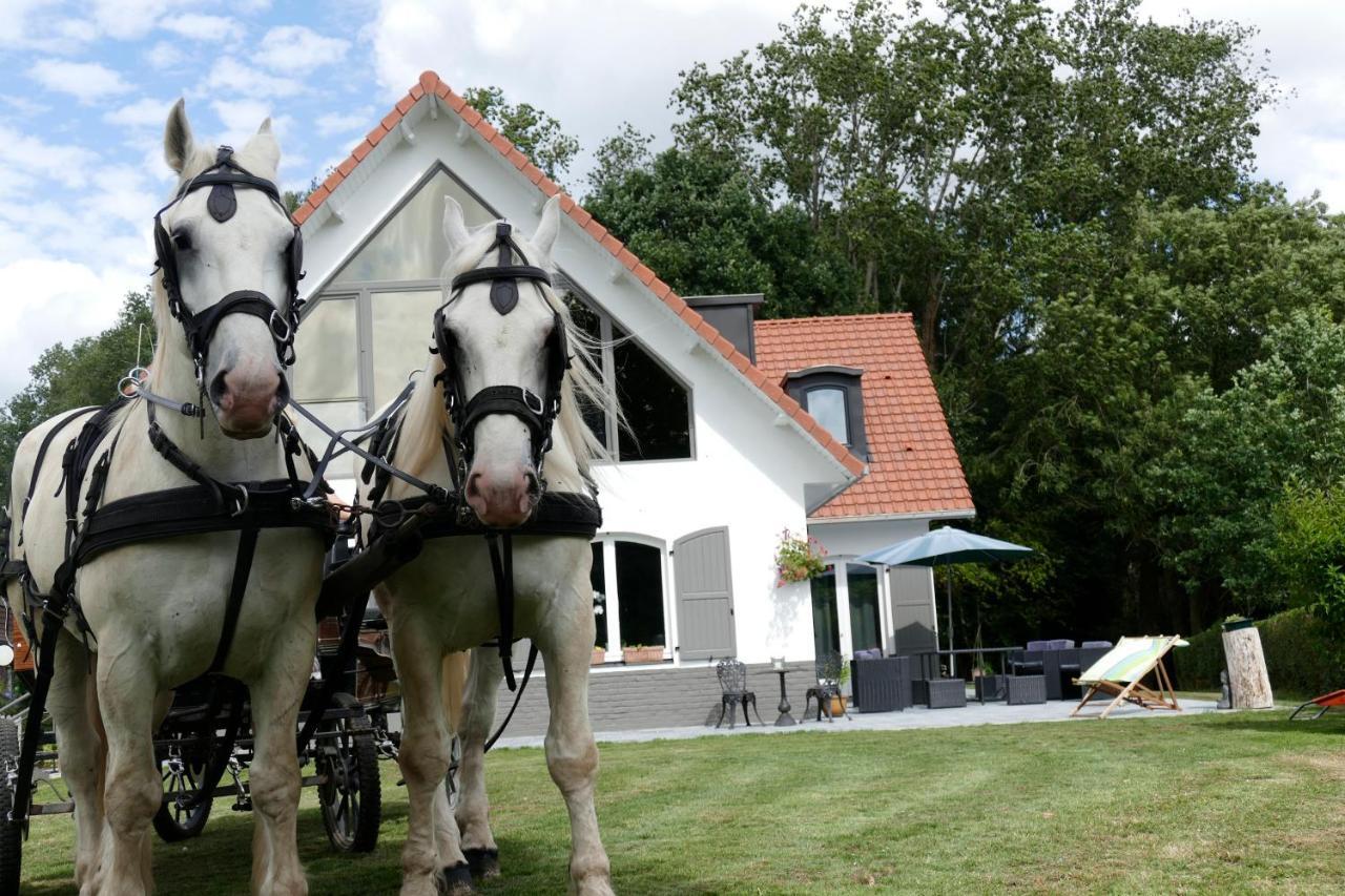 La Garonde Bed and Breakfast Boeschepe Buitenkant foto